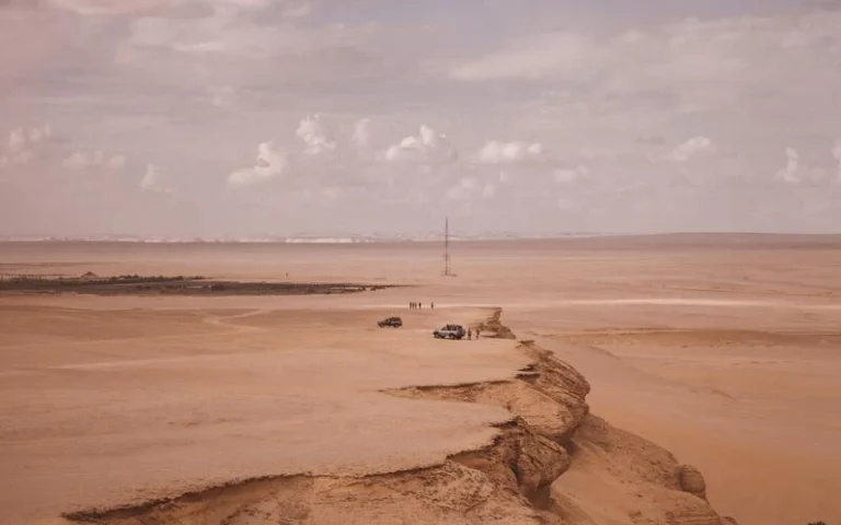 Echoes of Nature: A Journey to Fayoum Oasis