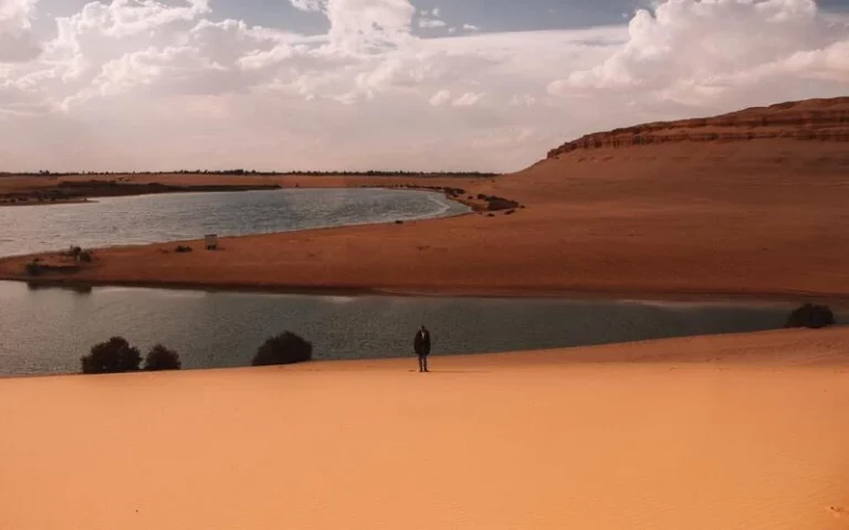 Echoes of Nature: A Journey to Fayoum Oasis