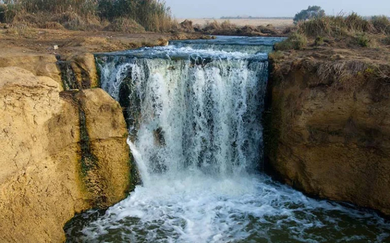 Echoes of Nature: A Journey to Fayoum Oasis