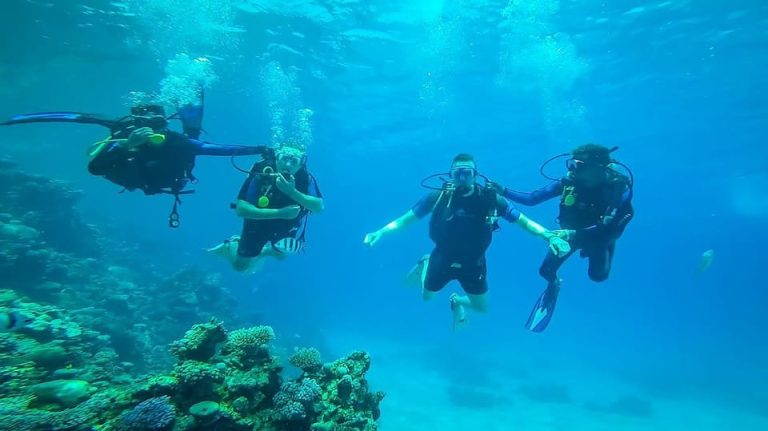 Intro Diving & Snorkeling Tour with Lunch & Drinks