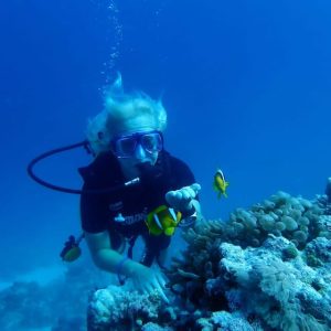 Intro Diving & Snorkeling Tour with Lunch & Drinks