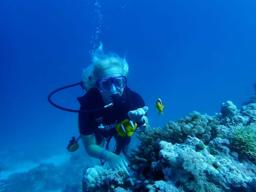Intro Diving & Snorkeling Tour with Lunch & Drinks