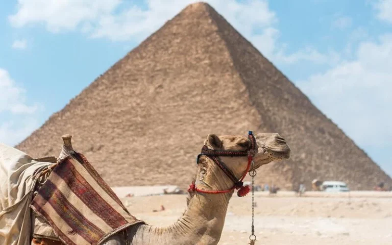 Legacy of the Pharaohs: Giza Pyramid Tour