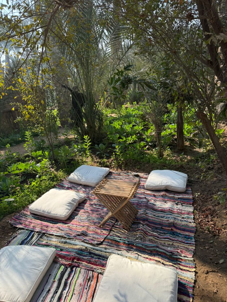 Soul of Rural Egypt – Dahshur Edition